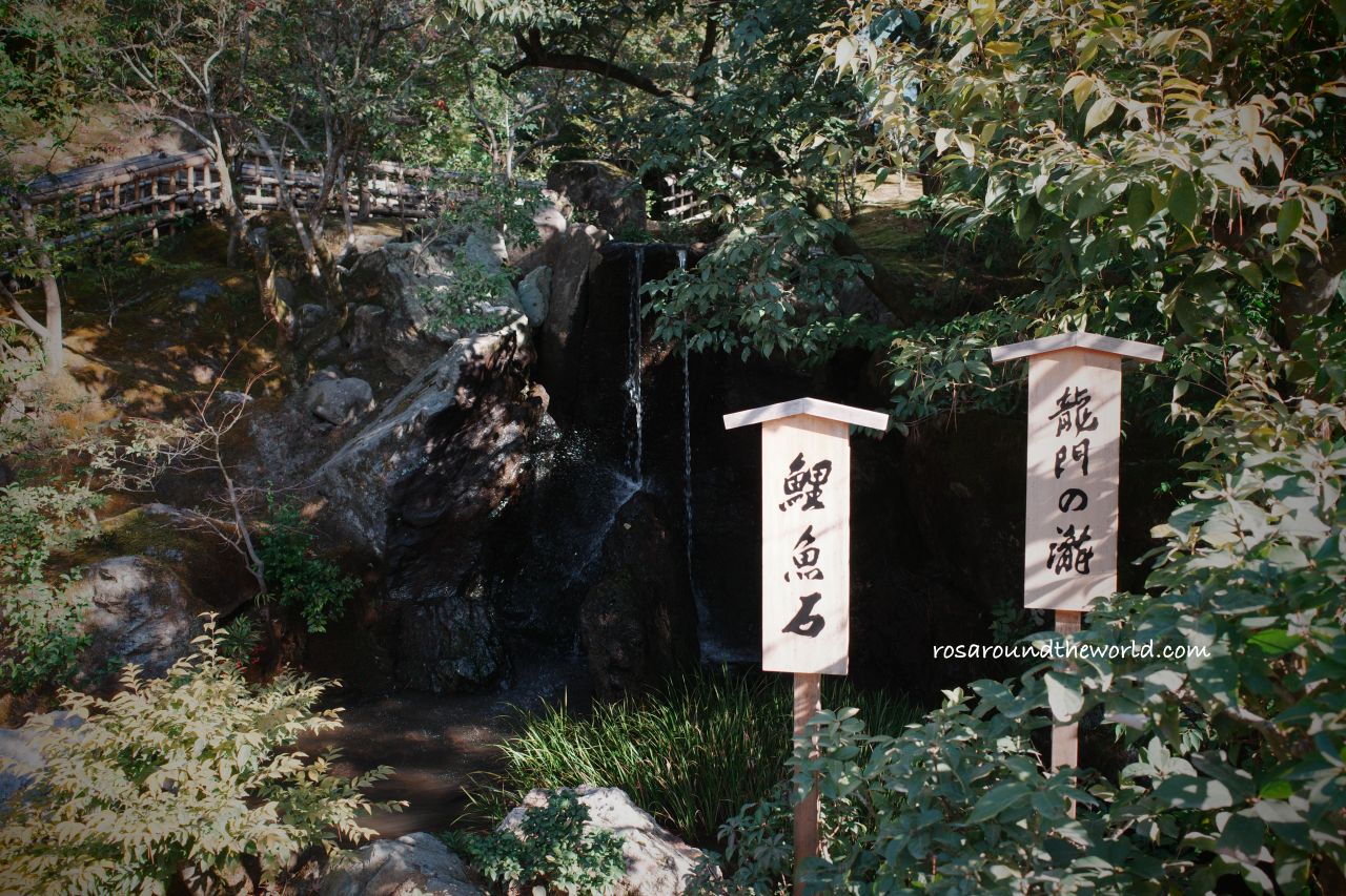 【京都金閣寺半日遊】開放時間、門票、交通＆必買御守