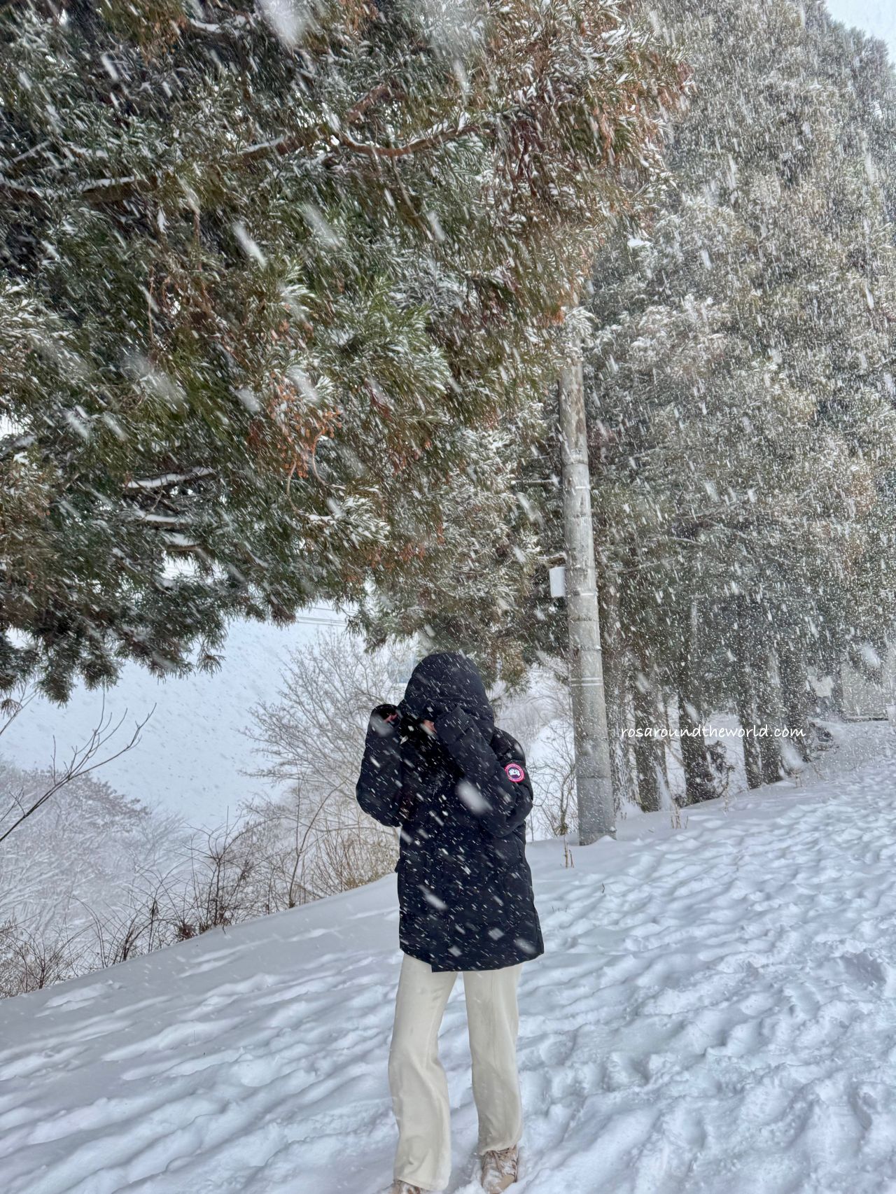 【大阪滑雪一日遊】箱館山滑雪場介紹，新手體驗、開放時間＆交通