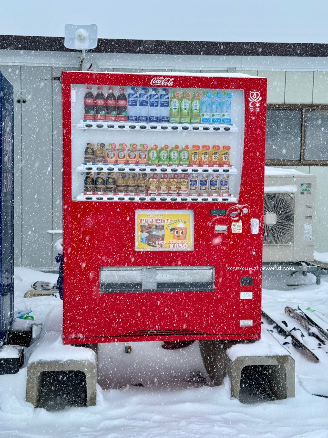 【大阪滑雪一日遊】箱館山滑雪場介紹，新手體驗、開放時間＆交通