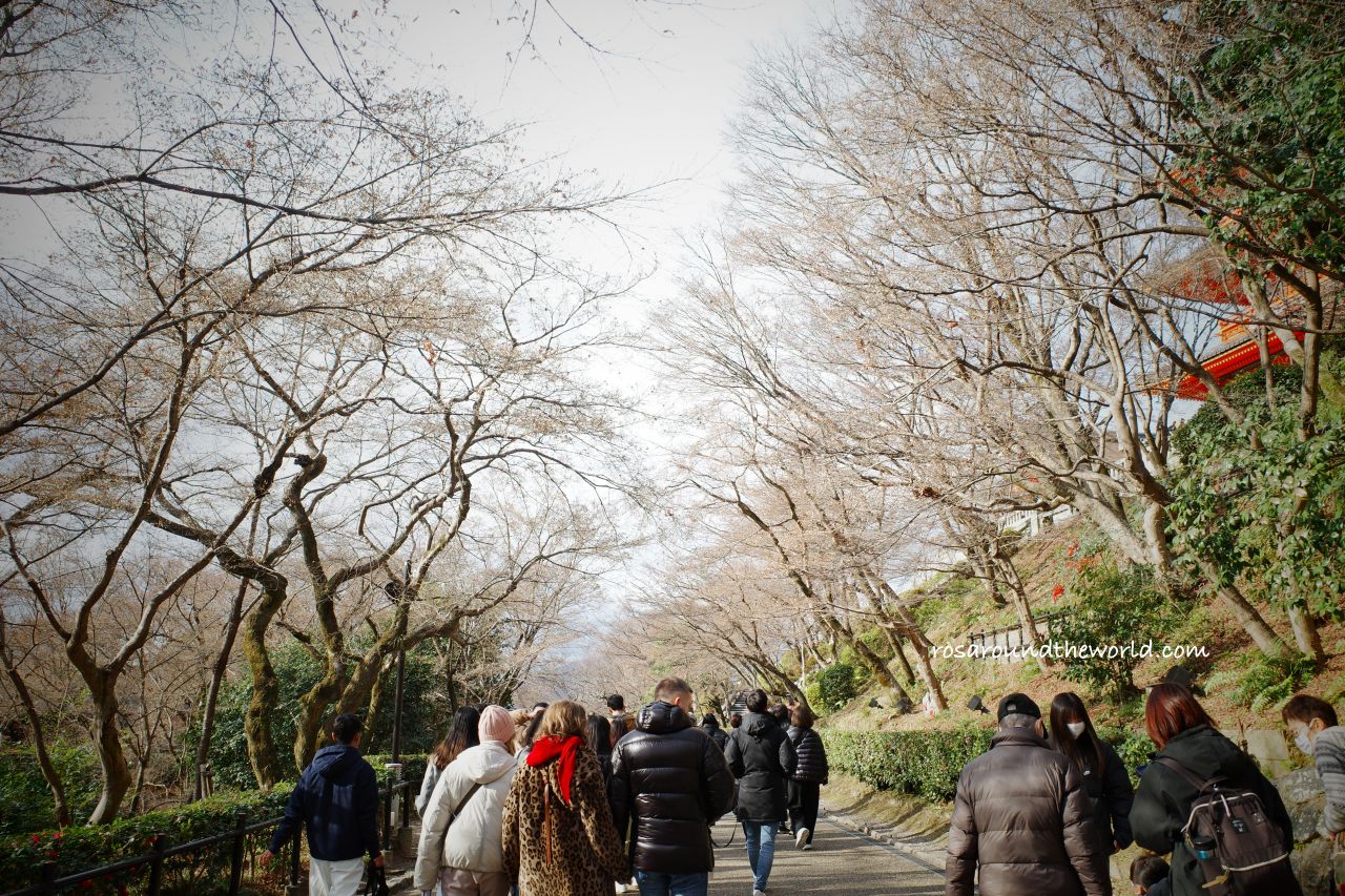 【京都自由行】大阪去京都一日遊＆十大景點攻略