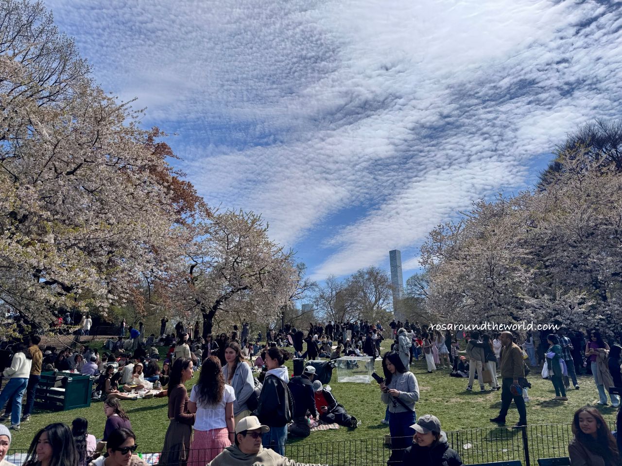 【紐約中央公園】必去景點、櫻花季、散步路線一次看 - 第11張圖 【紐約中央公園】必去景點、櫻花季、散步路線一次看