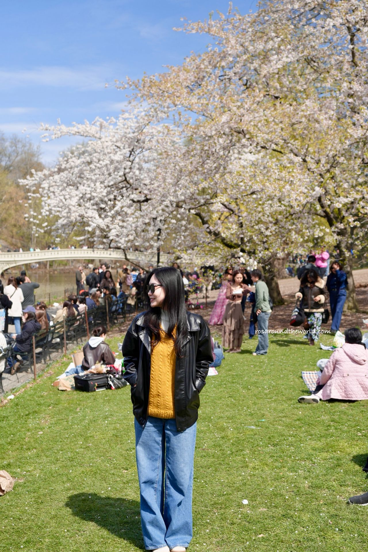 【紐約中央公園】必去景點、櫻花季、散步路線一次看 - 第12張圖 【紐約中央公園】必去景點、櫻花季、散步路線一次看