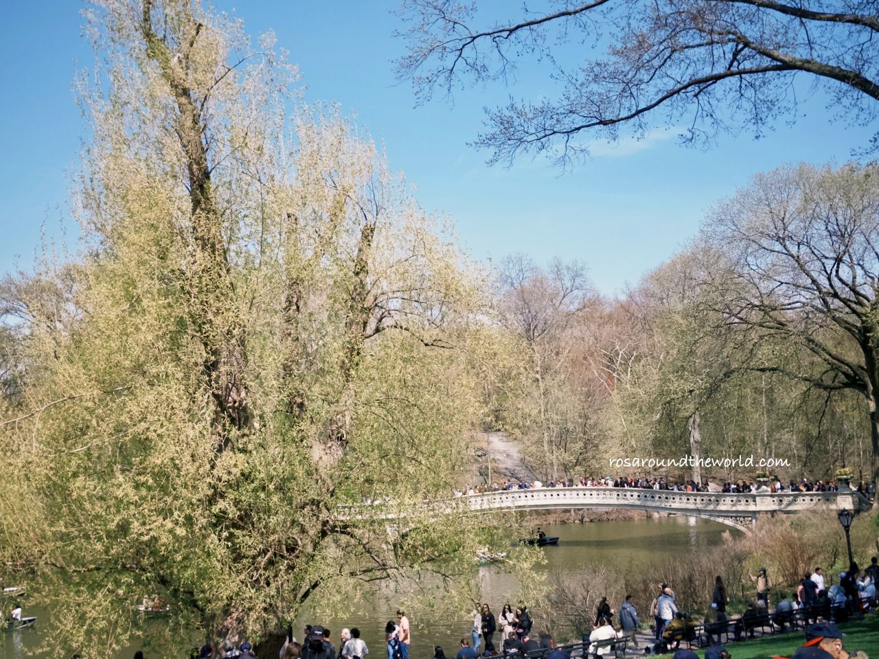 【紐約中央公園】必去景點、櫻花季、散步路線一次看 - 第9張圖 【紐約中央公園】必去景點、櫻花季、散步路線一次看