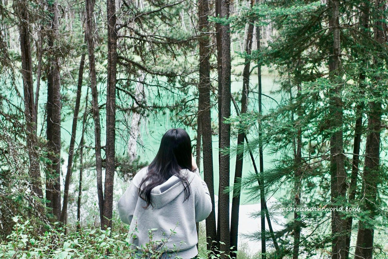 【冰原大道景點】赫伯特湖Herbert Lake,班夫秘境湖泊推薦 - 第4張圖 【冰原大道景點】赫伯特湖Herbert Lake,班夫秘境湖泊推薦